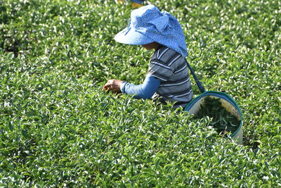 Low section of boy on grass