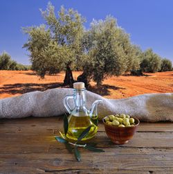 Green fruits on table by tree against sky