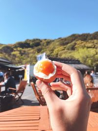 Cropped hand holding egg against clear sky