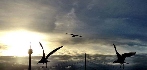 Silhouette of airplane flying against sky