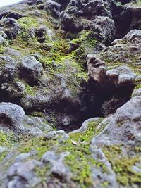 Full frame shot of rocks in water