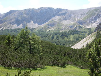 Scenic view of green landscape and mountains