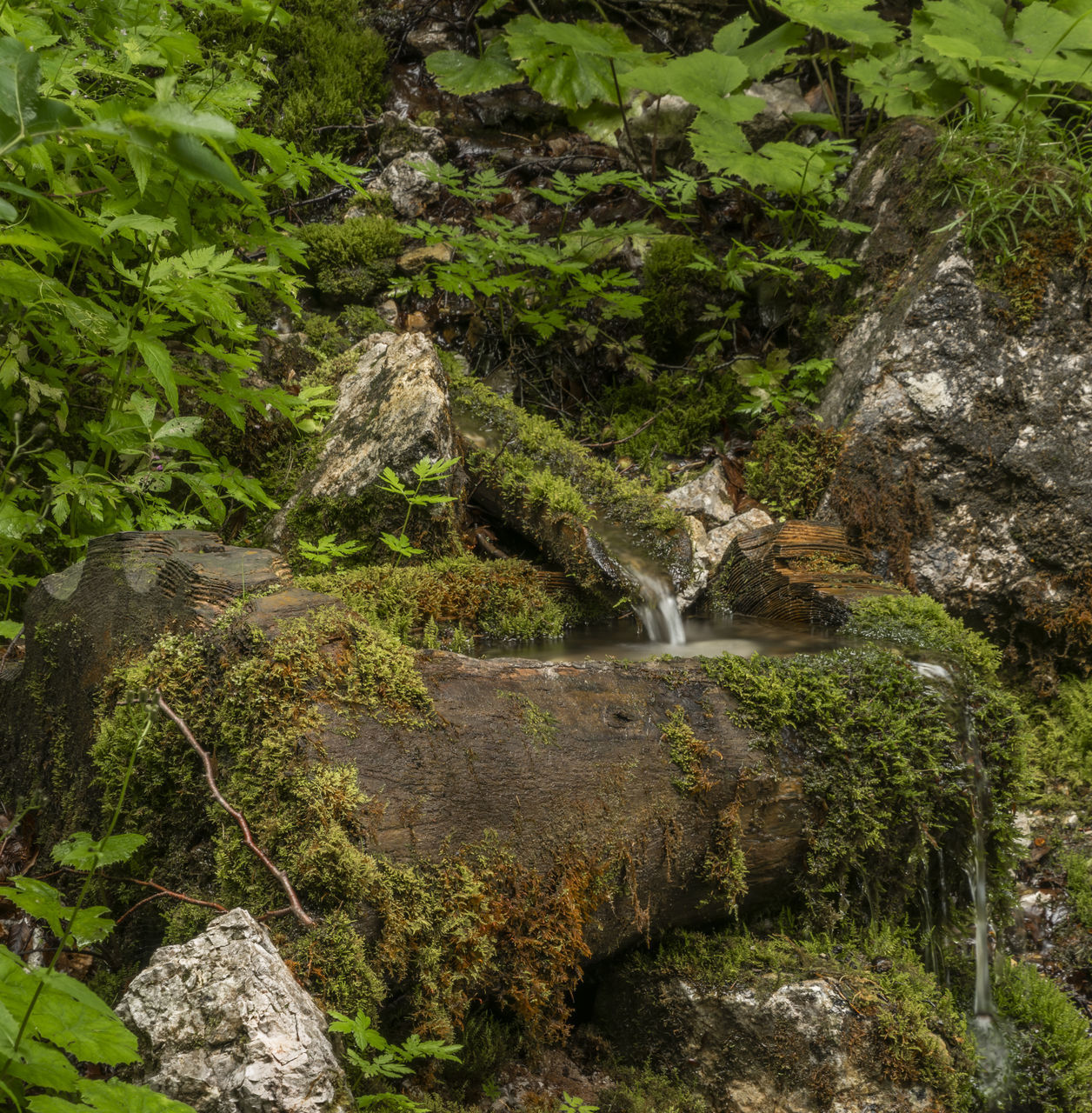 SCENIC VIEW OF STREAM FLOWING THROUGH ROCKS