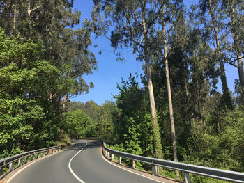 Empty road amidst trees against sky