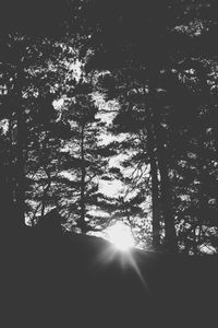 Silhouette trees in forest against sky