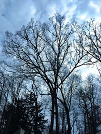 Low angle view of bare tree against cloudy sky