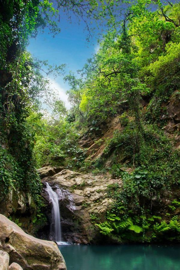 water, waterfall, tree, flowing water, motion, beauty in nature, forest, scenics, nature, flowing, long exposure, rock - object, tranquility, stream, tranquil scene, growth, river, rock formation, idyllic, waterfront