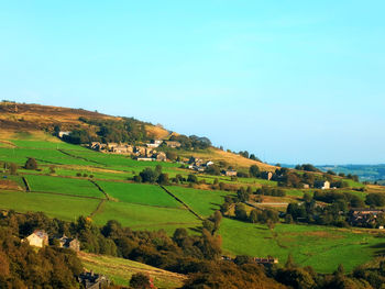 Scenic view of agricultural field against clear sky