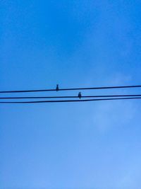 Low angle view of birds perching on power line against clear blue sky