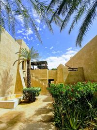 Plants growing outside building by palm trees against sky