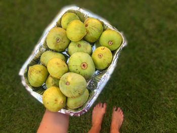 Low section of woman holding plate of ripe figs while standing on grassy field