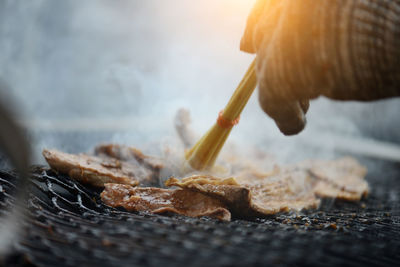 Close-up of meat on barbecue grill