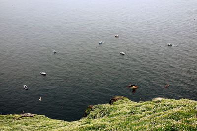 High angle view of people swimming in sea