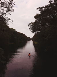 Scenic view of river amidst trees against sky