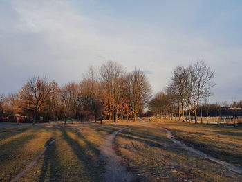 Road amidst bare trees on field against sky