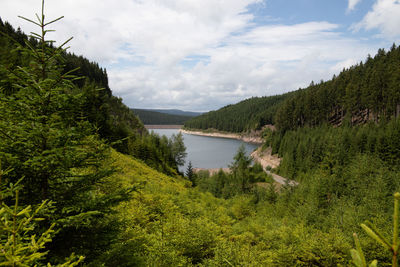 Scenic view of lake in forest against sky