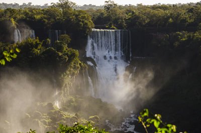 Scenic view of waterfall in forest