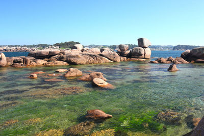 Rocks on sea shore against clear sky