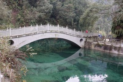 Bridge over river by trees