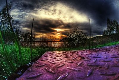 Close-up of grass against sky during sunset