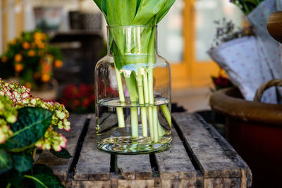 Close-up of plants in glass on table