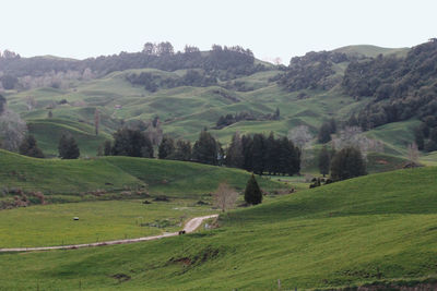 Scenic view of green landscape against sky