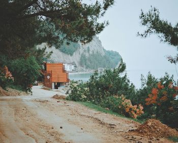 Road by trees against sky