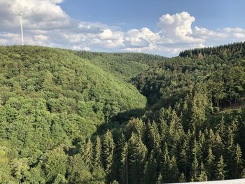 Scenic view of forest against sky