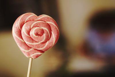 Close-up of pink heart shape lollipop