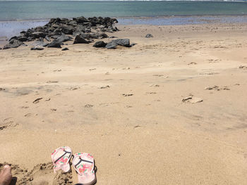 Low section of person on rock at beach