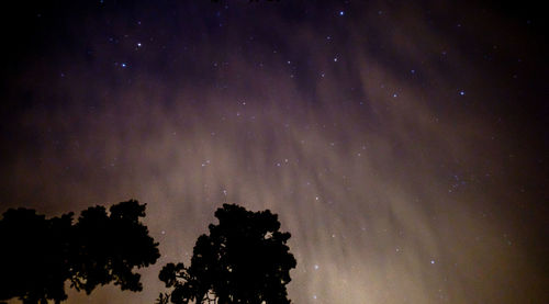 Low angle view of silhouette trees against sky at night