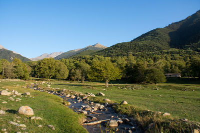 Scenic view of field against clear sky