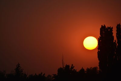 Silhouette trees against clear sky during sunset