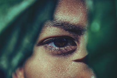 Close-up of human eye