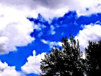 Low angle view of silhouette trees against sky