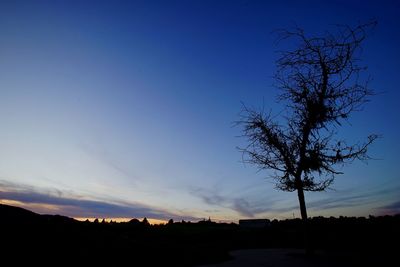 Silhouette of trees at sunset