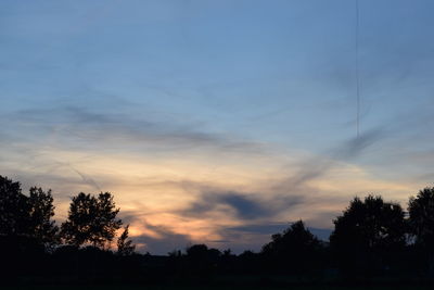 Low angle view of silhouette trees against sky during sunset