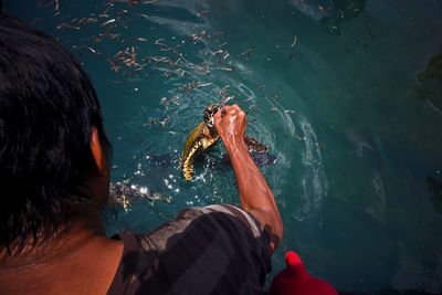 Rear view of woman swimming in sea