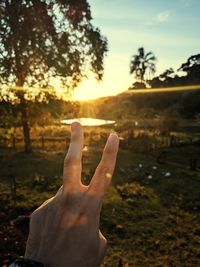Cropped image of person hand on land against sky during sunset