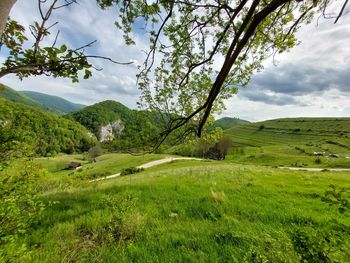 Scenic view of landscape against sky