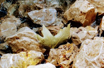 Full frame shot of rock