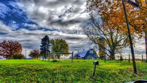 Trees on field against sky