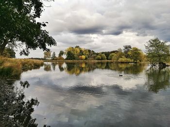 Reflection of trees in lake against sky