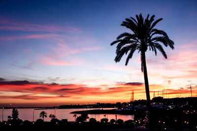 Silhouette palm trees against sky during sunset