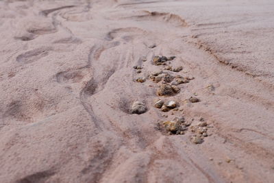 Close-up of footprints on sand at beach