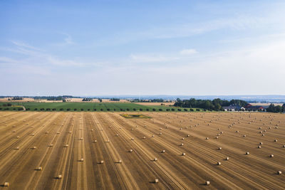 View of bales on field