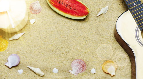 High angle view of shells on table