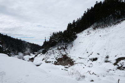 Snow covered land and trees against sky