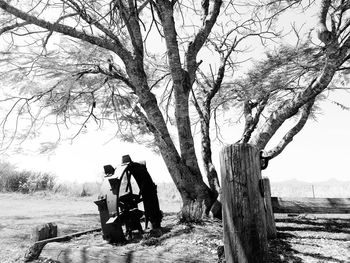 People sitting on bare tree against sky