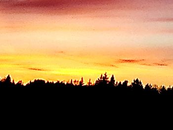 Silhouette trees against sky during sunset